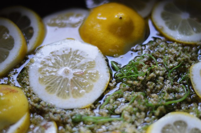 Processed with VSCO with s3 preset