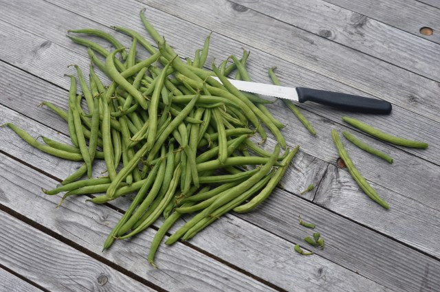 Processed with VSCO with s2 preset